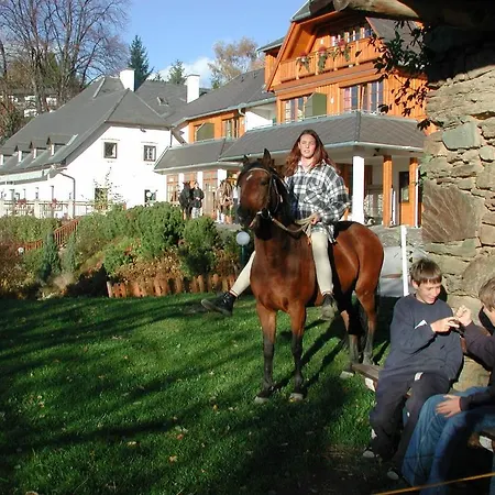Hotel Zum Steinhauser Sankt Kathrein am Offenegg